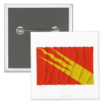 Østfold waving flag pin