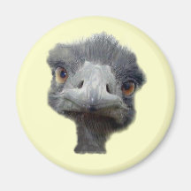 Ostrich Fridge Magnet