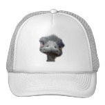 Ostrich Hats