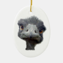 Ostrich Ornaments