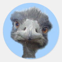 Ostrich Round Stickers