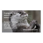 Otter Mastermind Business Cards