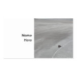 Otter on a beach in Ireland. Business Card