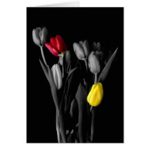 Our Love-Tulip Card
