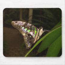 Out of the dark mouse mats