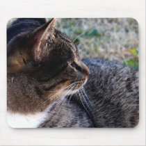 Outside Cat Mousepad mousepads
