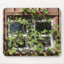 Overgrown Window Mousepad