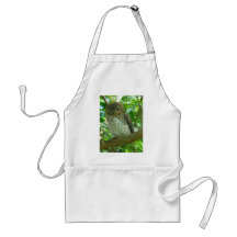 OWL APRONS