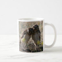 owl couple coffee mugs