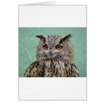 OWL GREETING CARD