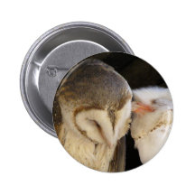Owl kisses buttons