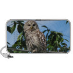 Owl On Wire Travel Speakers