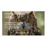 Owl Photo Business Card