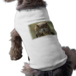 Owl Photo Pet Shirt