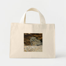 Owlette Looking Canvas Bags