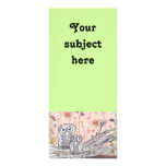 Owls 15 Rack Cards