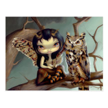 "Owlyn" Postcard