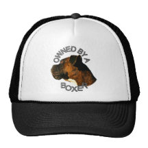 Owned by a boxer hat