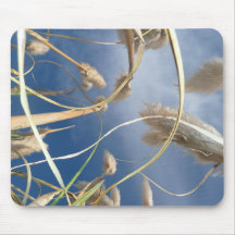 P1090791 MOUSE PADS