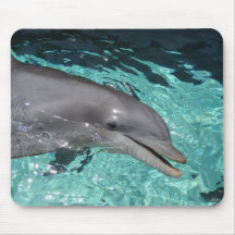 P8010404 MOUSEPADS