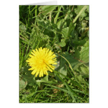 Paardenbloem-wenskaart
