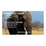 Pachyderm Business Card