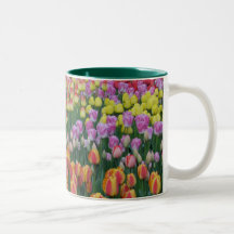 Paint Box Coffee Mugs