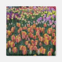 Paint Box Magnet