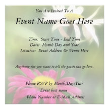 Painted Daisies In Dappled Sunlight Invitation