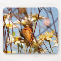 Painted Lady 1108 Mouse Mats