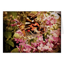 Painted Lady Butterfly Card Template