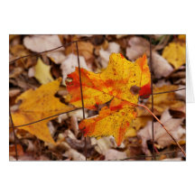 Painted Maple Leaves Card