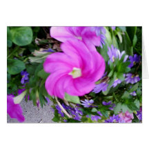 Painted Petunia Greeting Cards