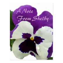 Painted Purple Pansy Postcards