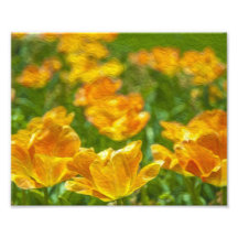 Painted Tulips Photo Print