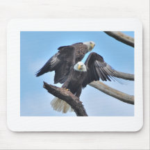 Pair of Bald Eagles Mouse Mats