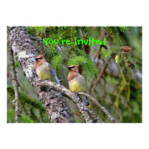 Pair of Cedar Waxwings Custom Invite