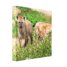 Pair of Hyenas Canvas Print