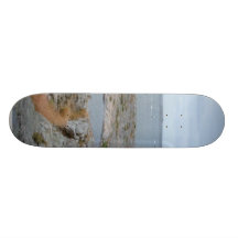Pair Of Light Towers Skateboard Deck