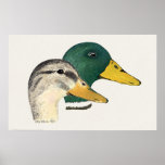 Pair of Mallard Ducks (Drake and Hen) Print