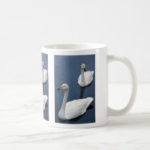 Pair of whooper swans, Peakirk Waterfowl Gardens Mug