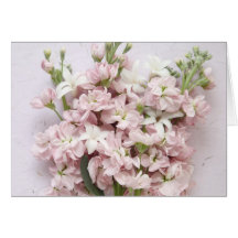 pale pink blossoms thinking of you note card