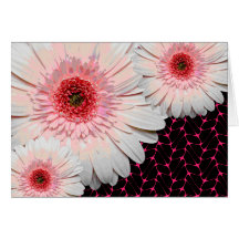 Pale Pink Daisies Note Card