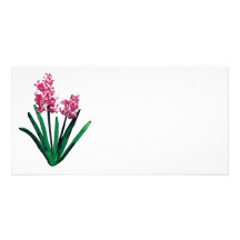 Pale Pink Hyacinths Photo Greeting Card