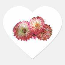 Pale Pink Mums Stickers