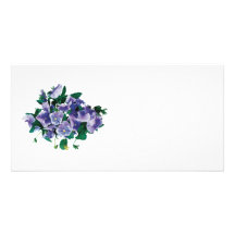 Pale Purple Pansies Picture Card