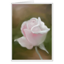 PALE ROSE CARDS
