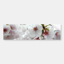 Pale Spring Bumper Stickers