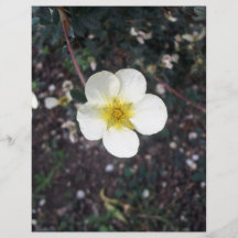 Pale yellow flower flyer