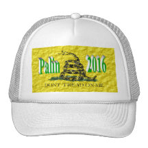 PALIN 2016 Cap, Light Green 3D, Gadsden Trucker Hats